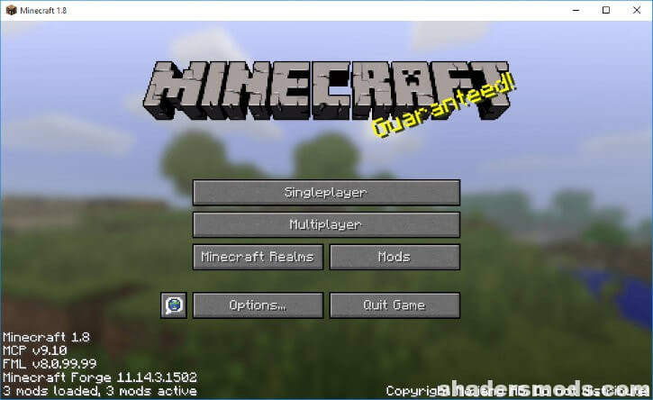 Minecraft Forge Screenshot 2