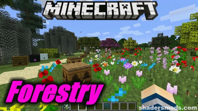 Forestry Mod 1.16.5 → 1.12.2 (Farming, Beekeeping & Energy.