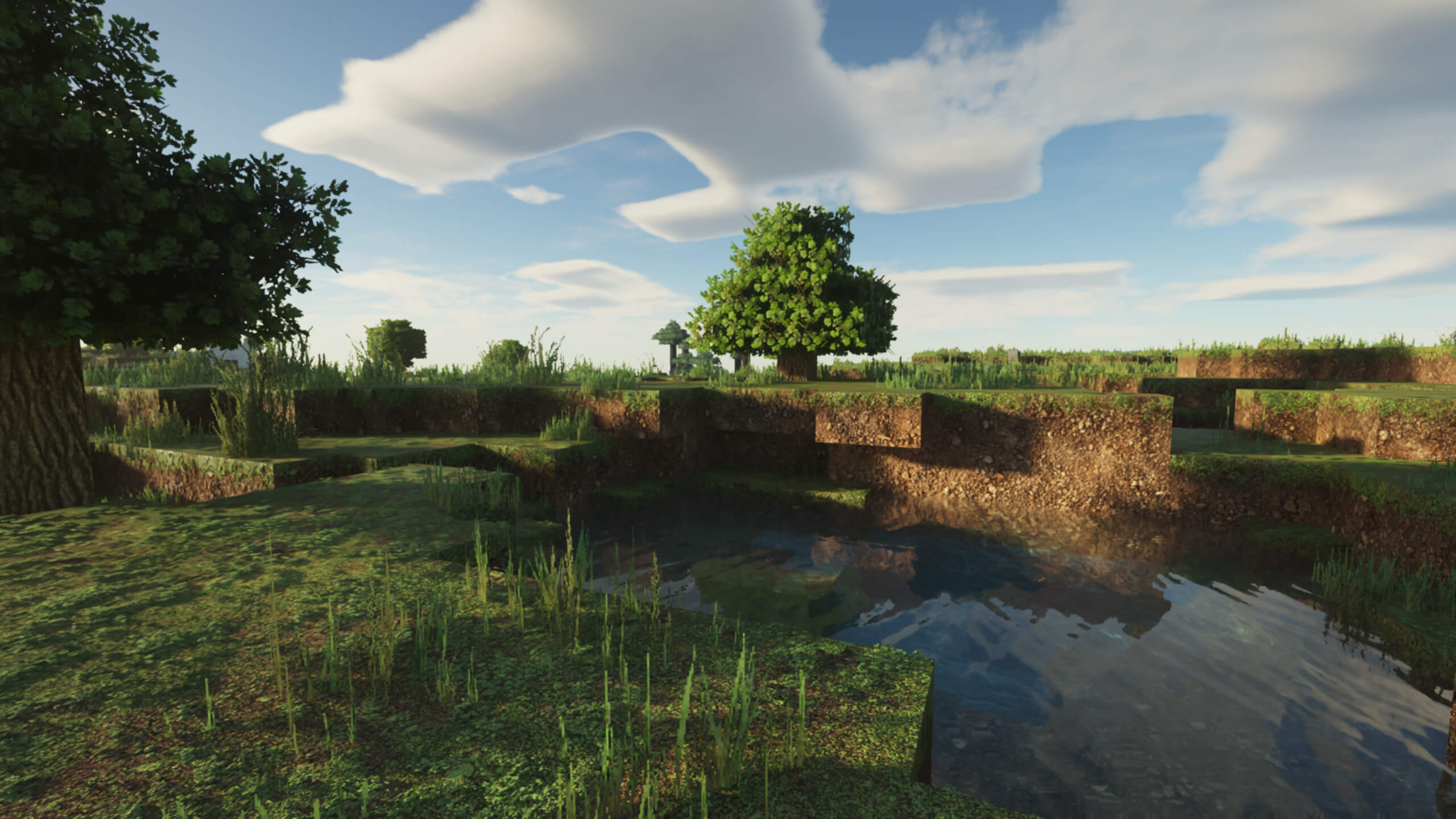 Seus Shaders Minimum Requirements At Sheila Tejada Blog