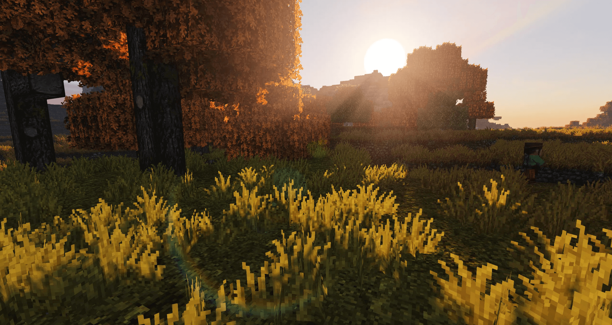 ProjectLUMA Shader Pack: The Next Generation of Minecraft Visuals