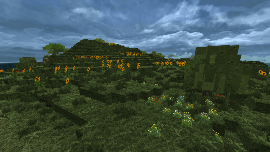 Conquest Texture Pack Screenshot 1