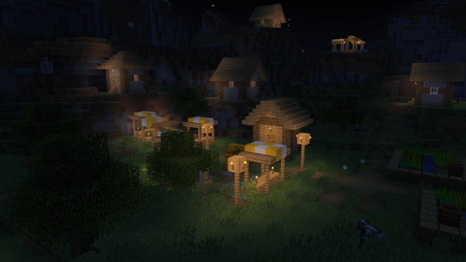 Village at night